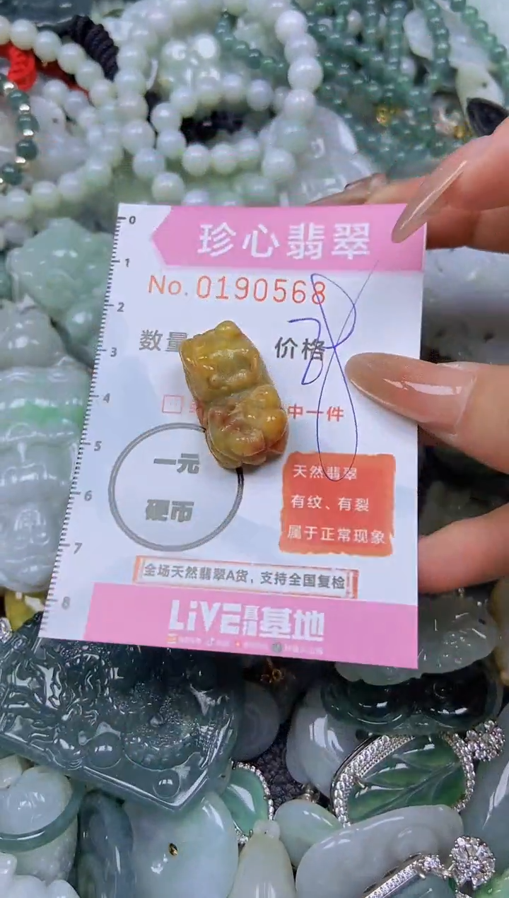 翡翠未镶嵌颈饰闪购链接0190568
