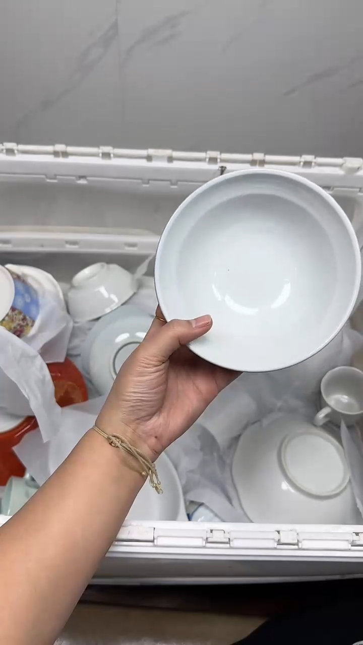 【闪购商品】5068回流瓷器默认微瑕，18.8包邮