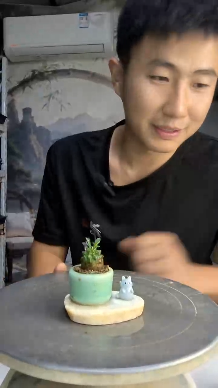 A****?中青园艺一物一拍21