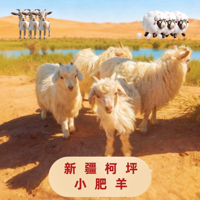 新疆柯坪山羊整羊/8公斤 切块顺丰冷链直达45%腿排 肉质紧实弹嫩 