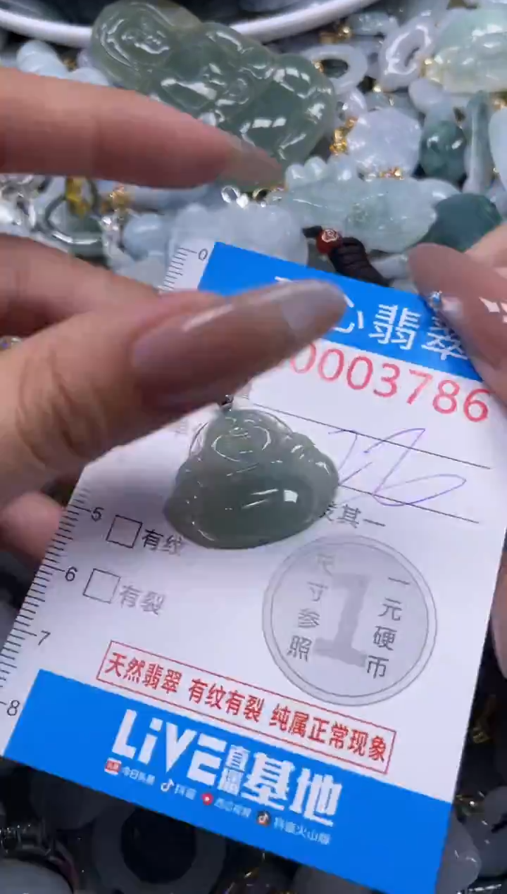 颈饰未镶嵌翡翠3786