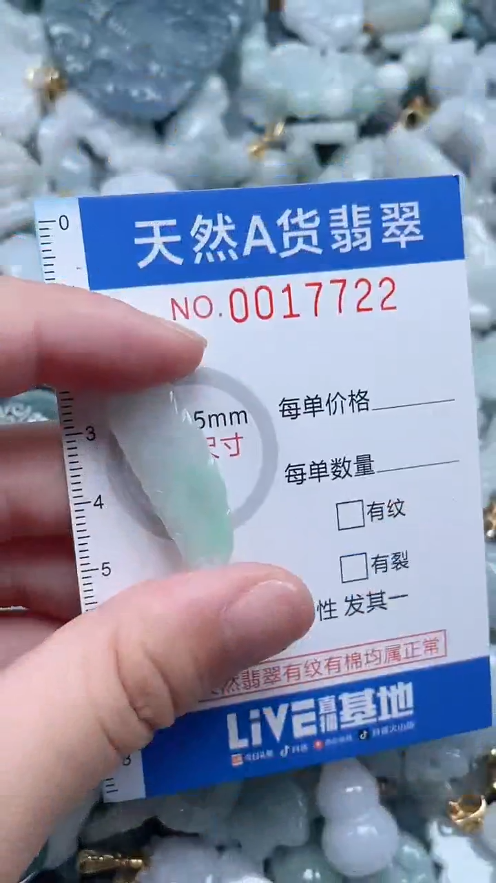 翡翠未镶嵌吊坠(不含链)1