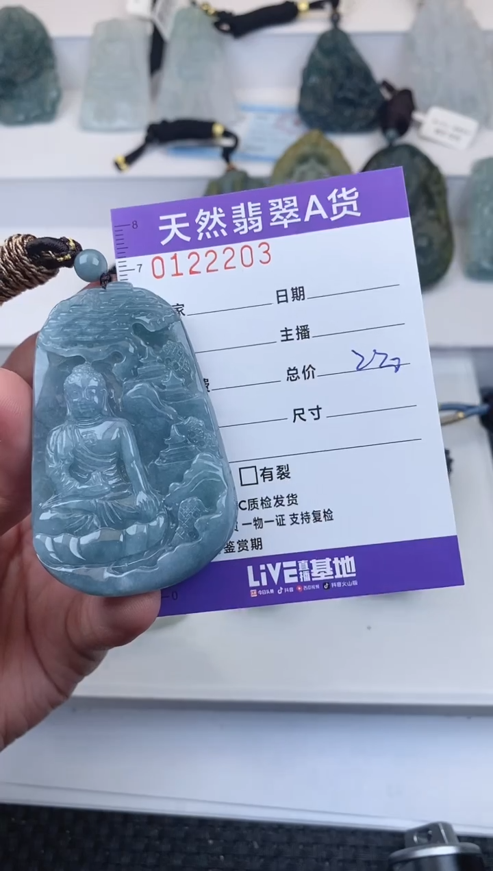 【闪购商品】翡翠颈饰未镶嵌          203