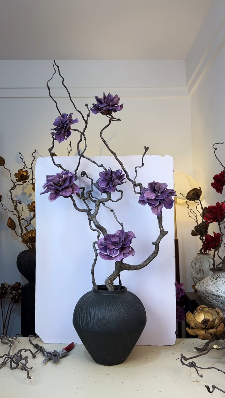 岁****️龙枣枝蓝花楹（特价不退不换）