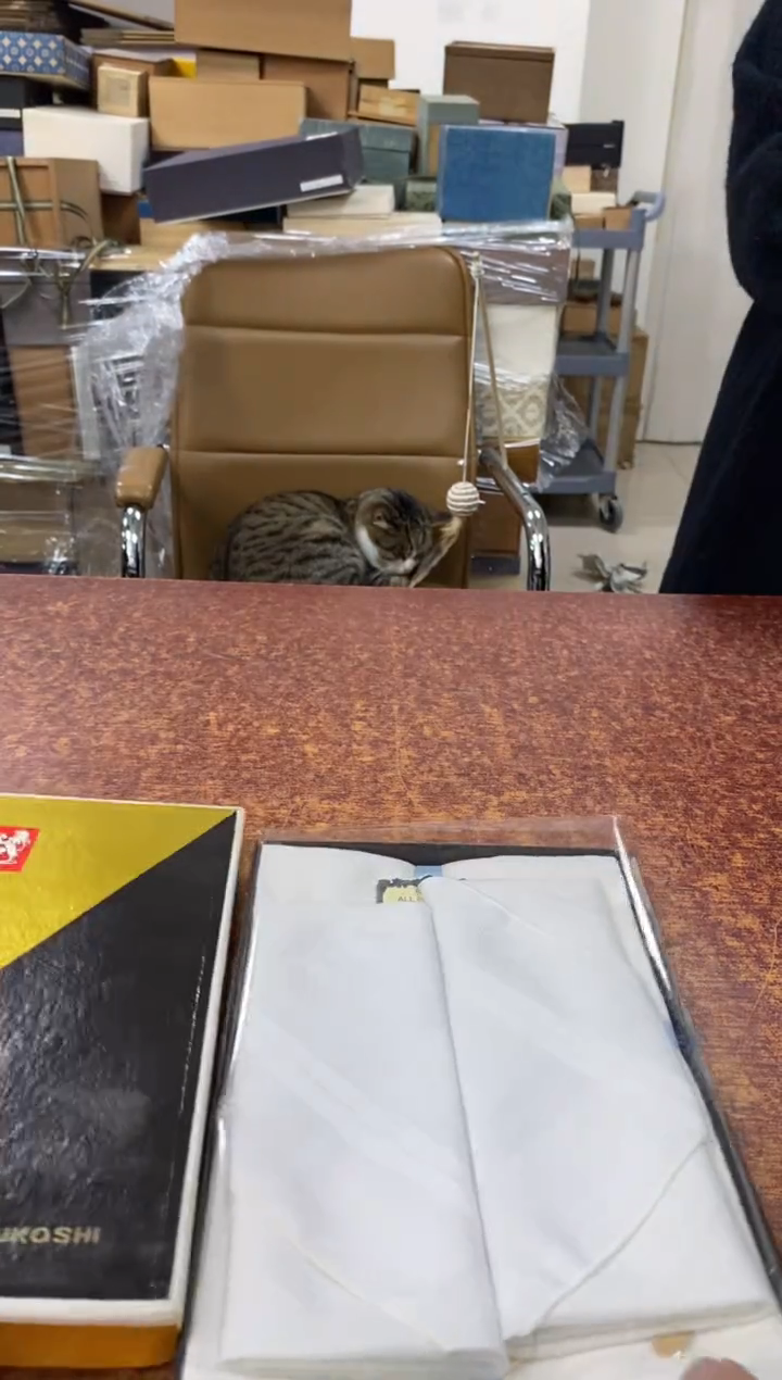 瓷片944小林轩欢迎您