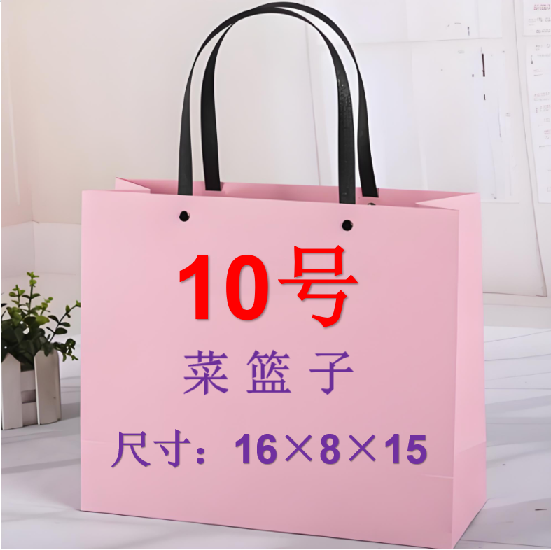 10号时尚潮流斜跨小菜篮8119#