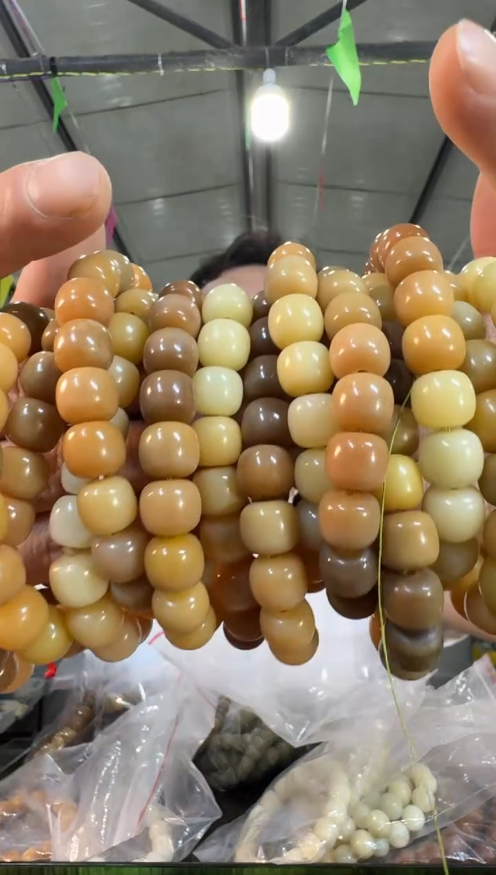 菩提根/象牙果手串z11实物为准