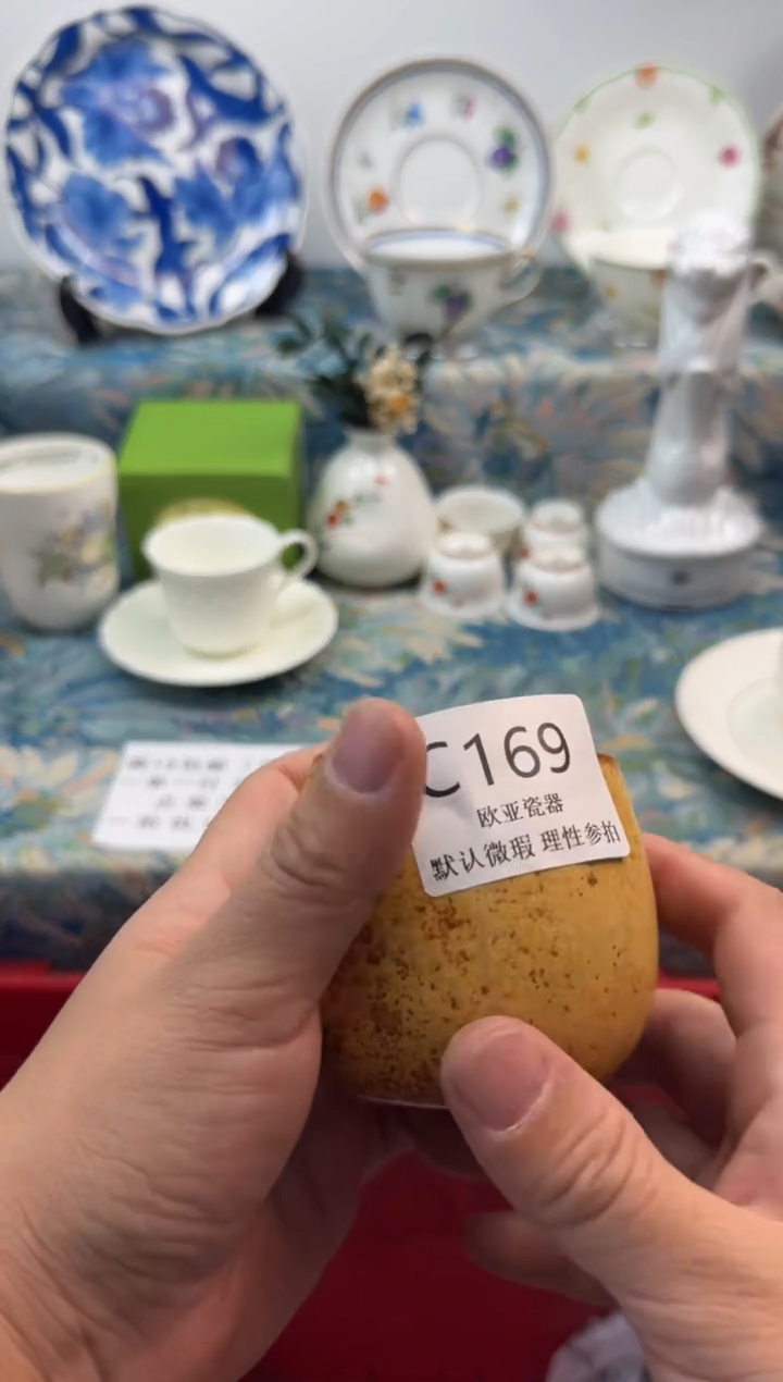 瓷片燚*           C169