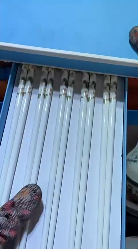 【闪购商品】瓷片6918403517505109615