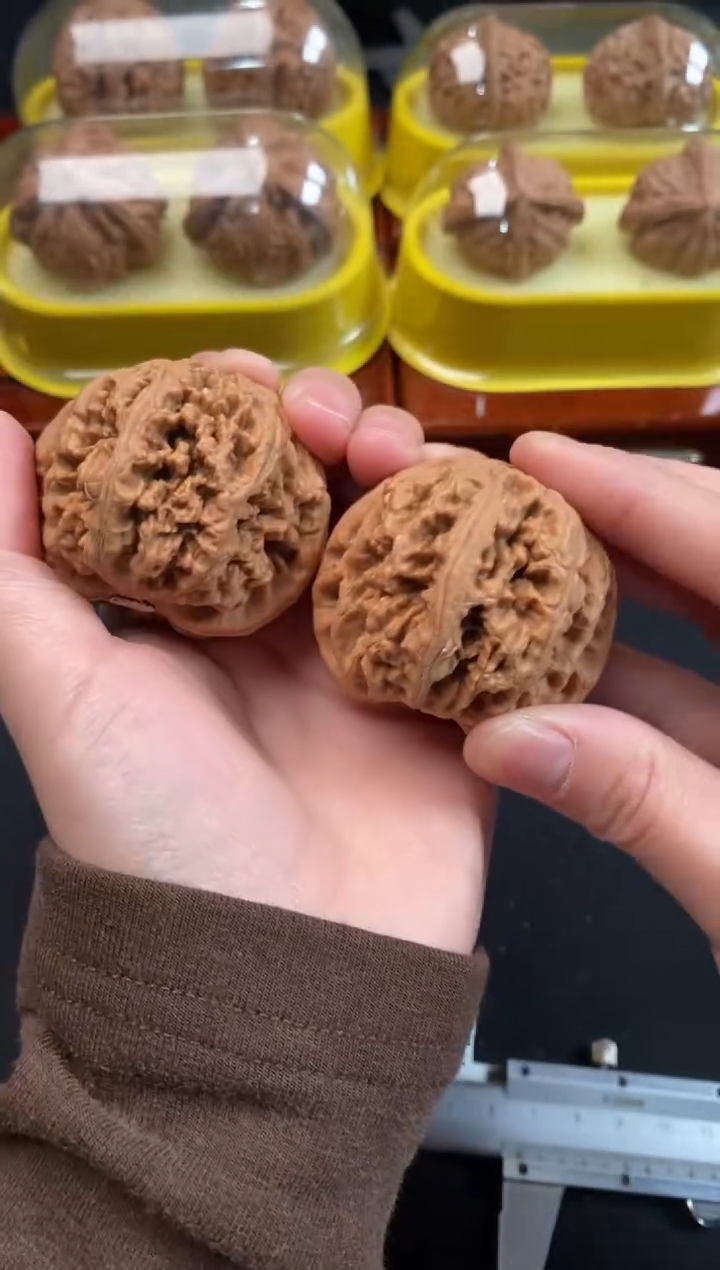 把件文玩核桃大粗筋48尺c572