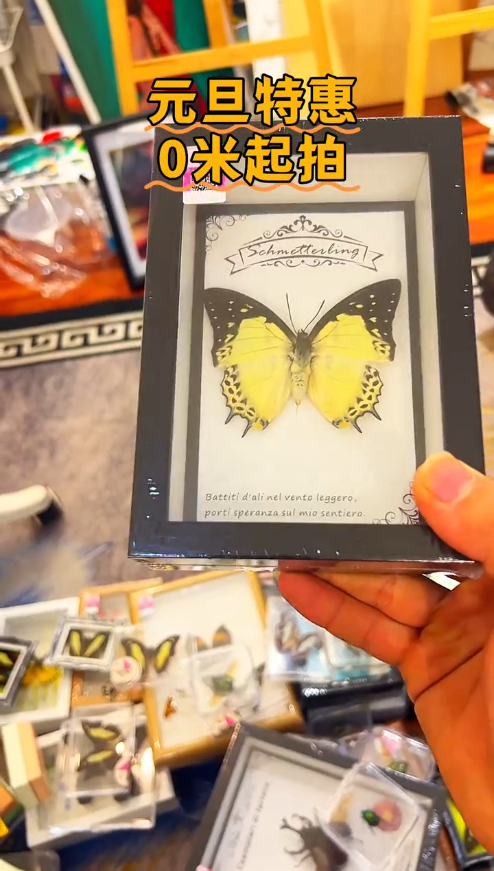 有机玻璃188582828