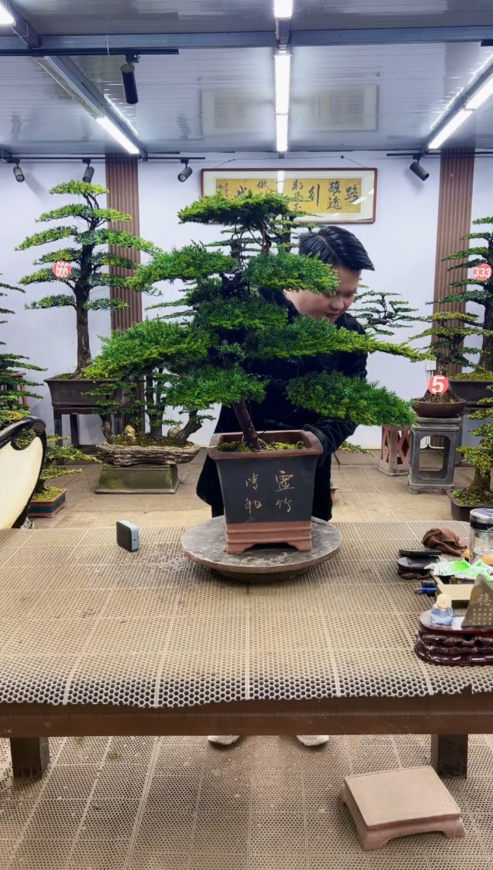 【闪购商品】000000000