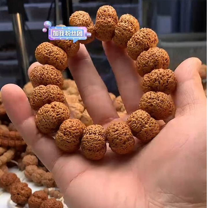 打底（板王菠萝蜜）2025新籽大金刚菠萝蜜蜂王