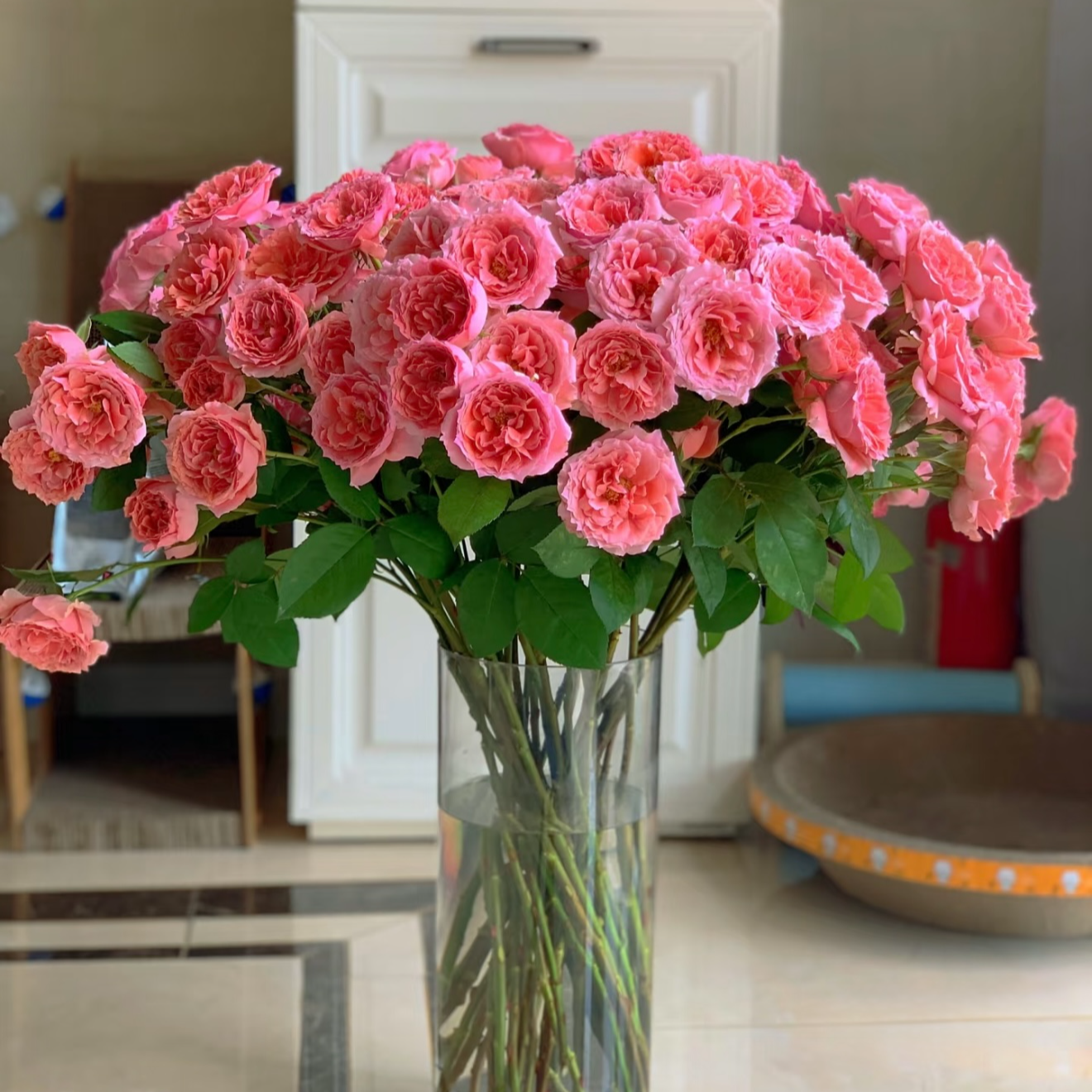 三岁花集-基地多头玫瑰粉色拉拉队（一单顺丰冷链三单空运包邮）   