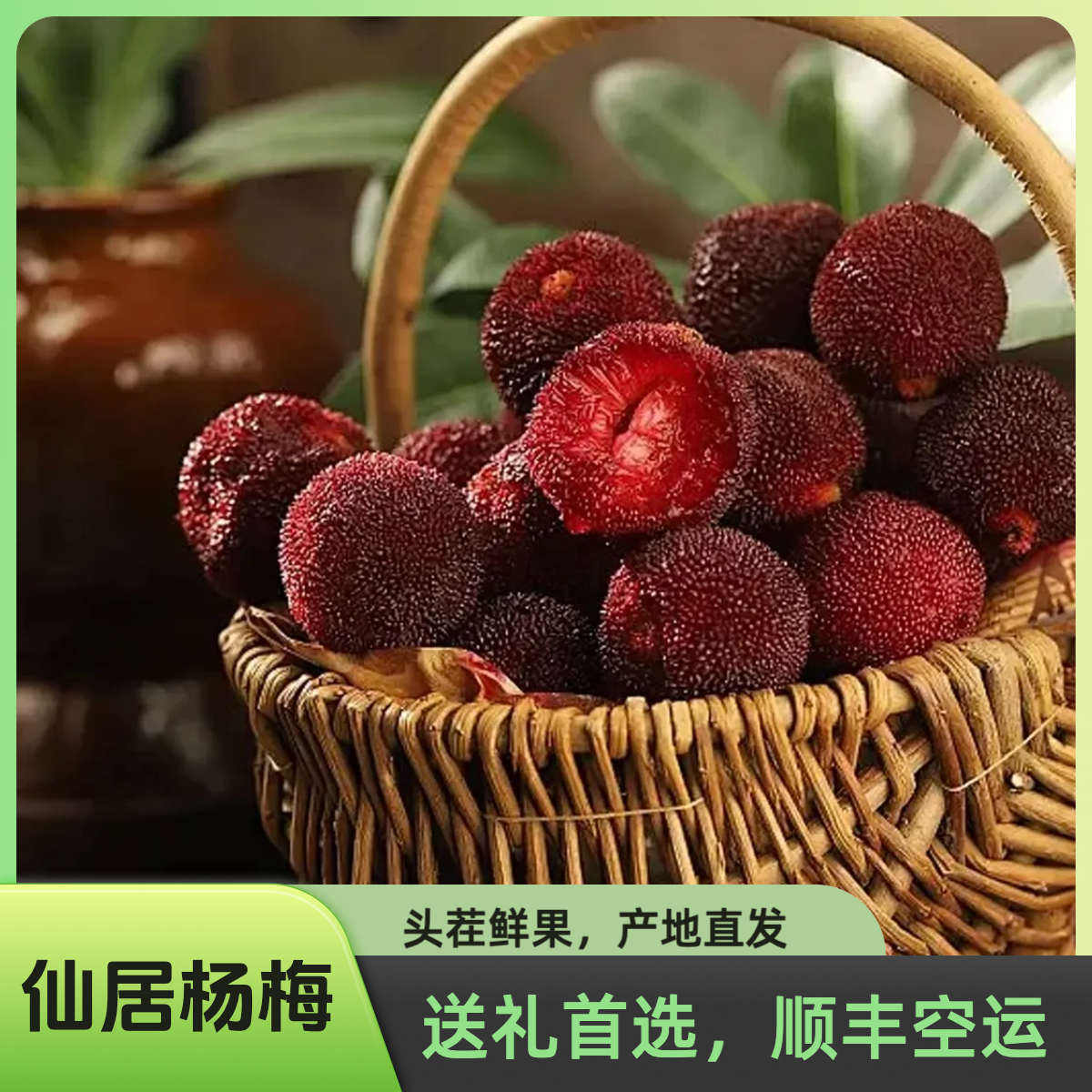 【A力荐】豪华包装4斤仙居东魁杨梅现摘现发当季新鲜特大果送礼空运