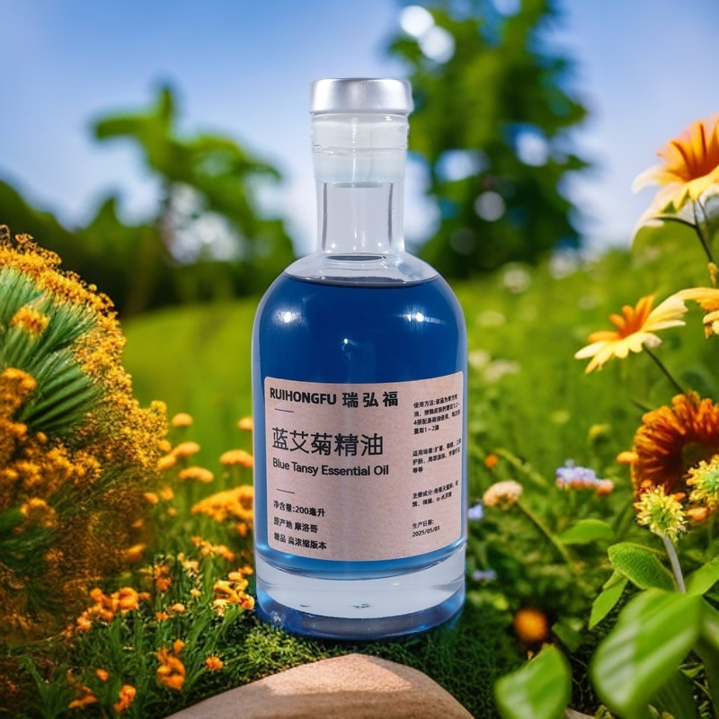 正宗版200ml精品蓝艾菊精油古法萃取官方正品升级高浓缩摩洛哥料