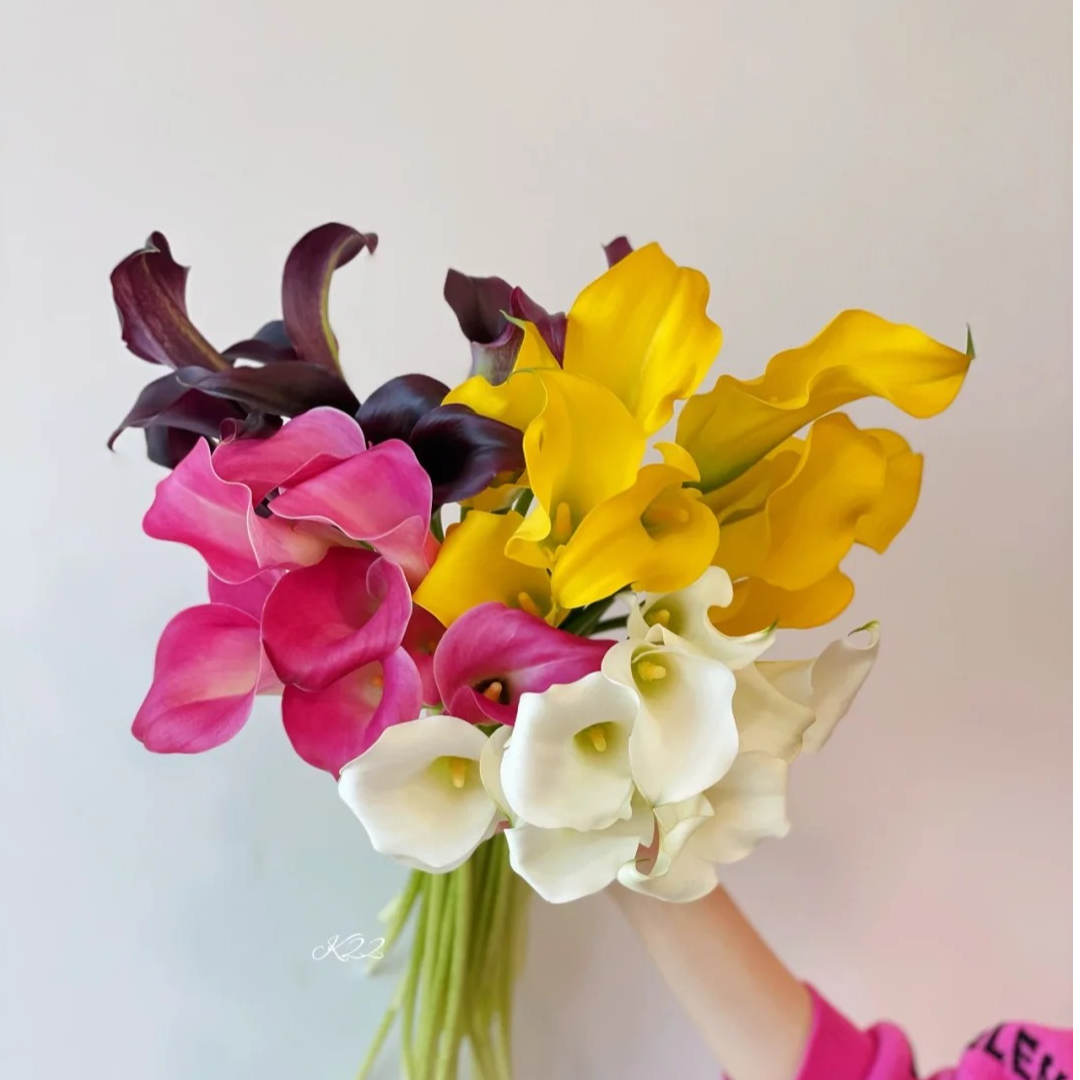 【进口马蹄莲】直播间基地直发高品质鲜切花鲜花马蹄莲