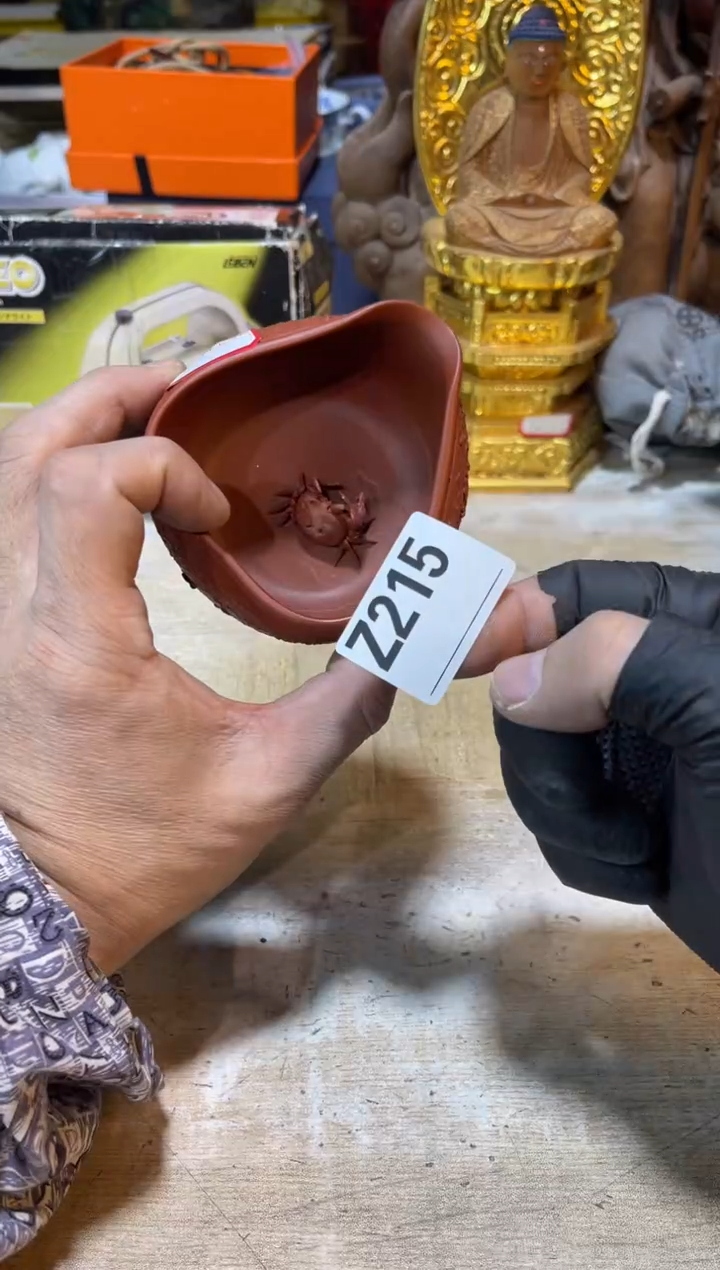 直播定闪专用链接三*哥直播定闪专用链接