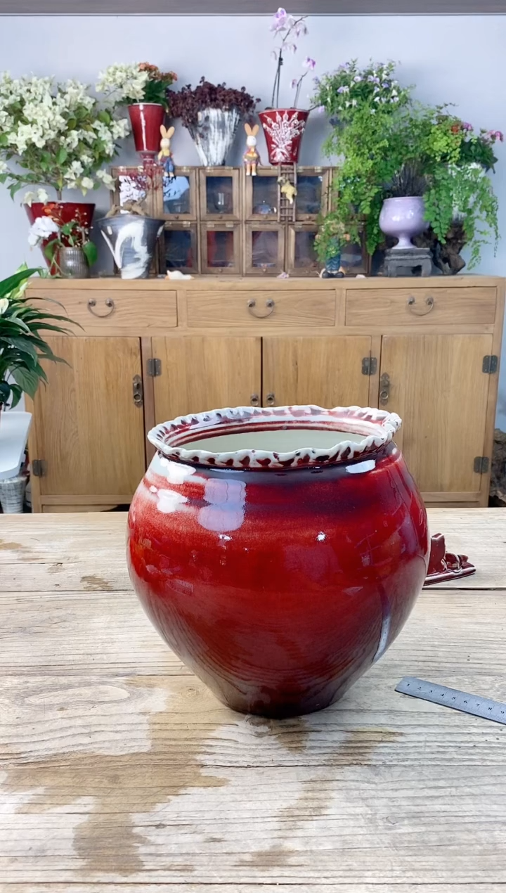 小玩子花盆直播号537