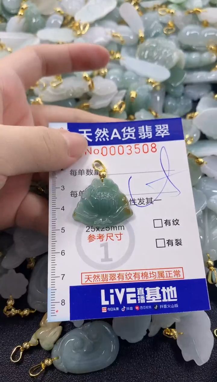 颈饰未镶嵌翡翠天然A货翡翠