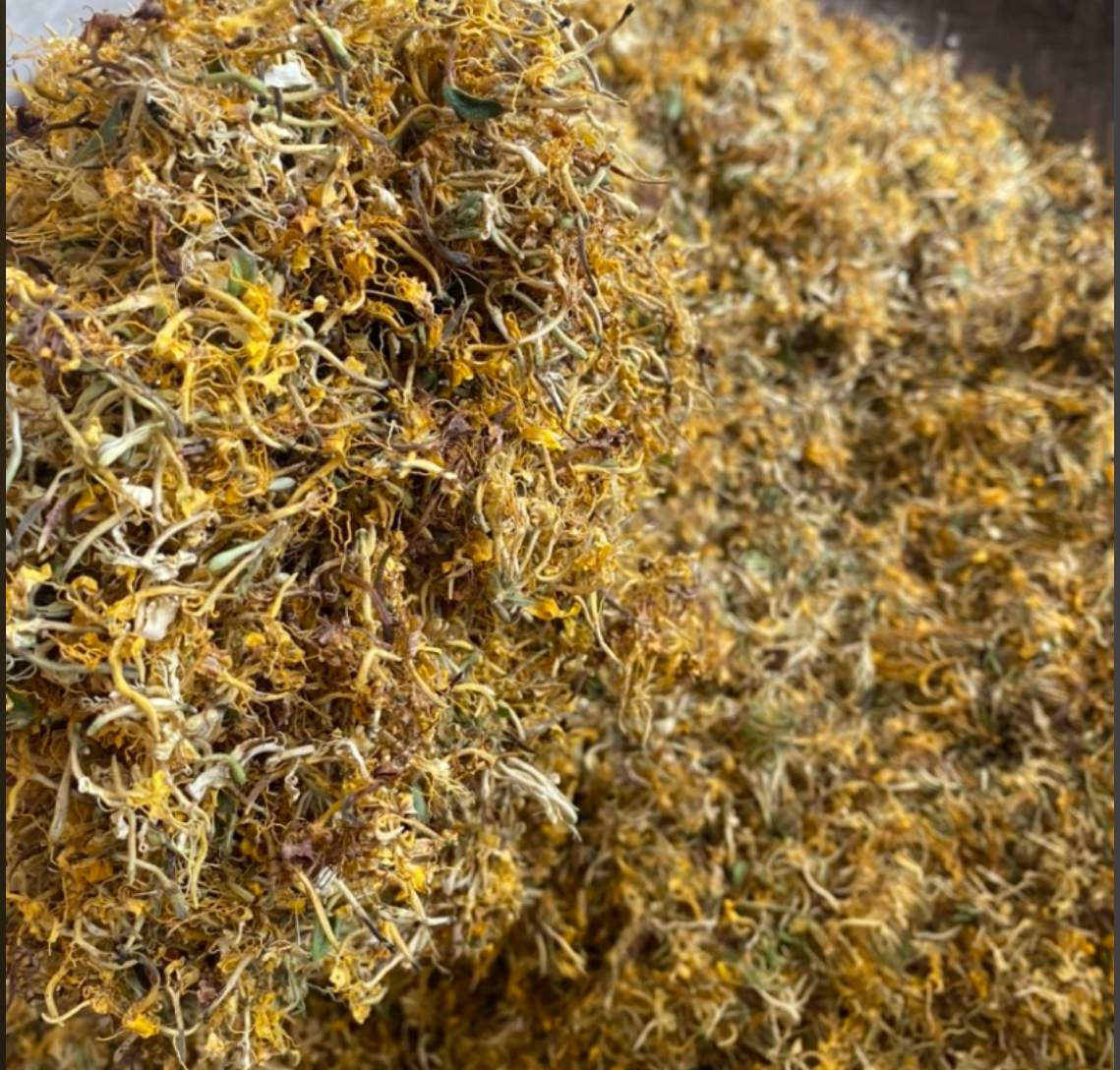 【平姐滋补】金银花