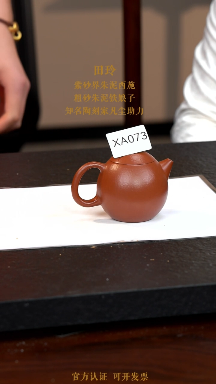【闪购商品】紫砂茶壶XA073-0114LT