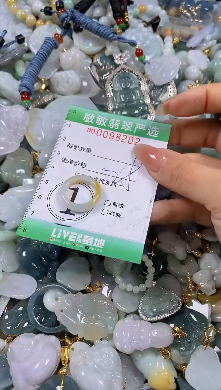 【闪购商品】翡翠颈饰未镶嵌闪购0098202