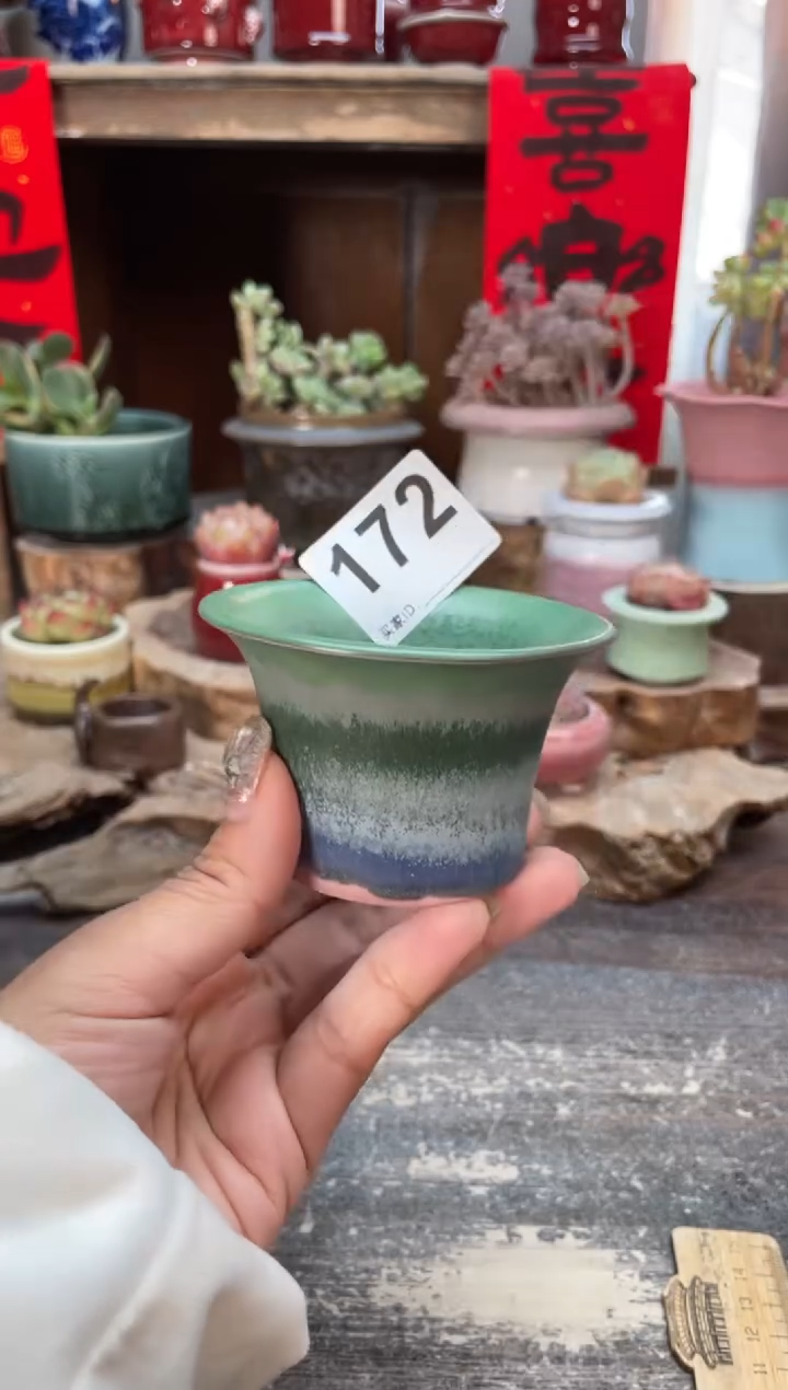 【闪购商品】摆件172知木小芳花盆