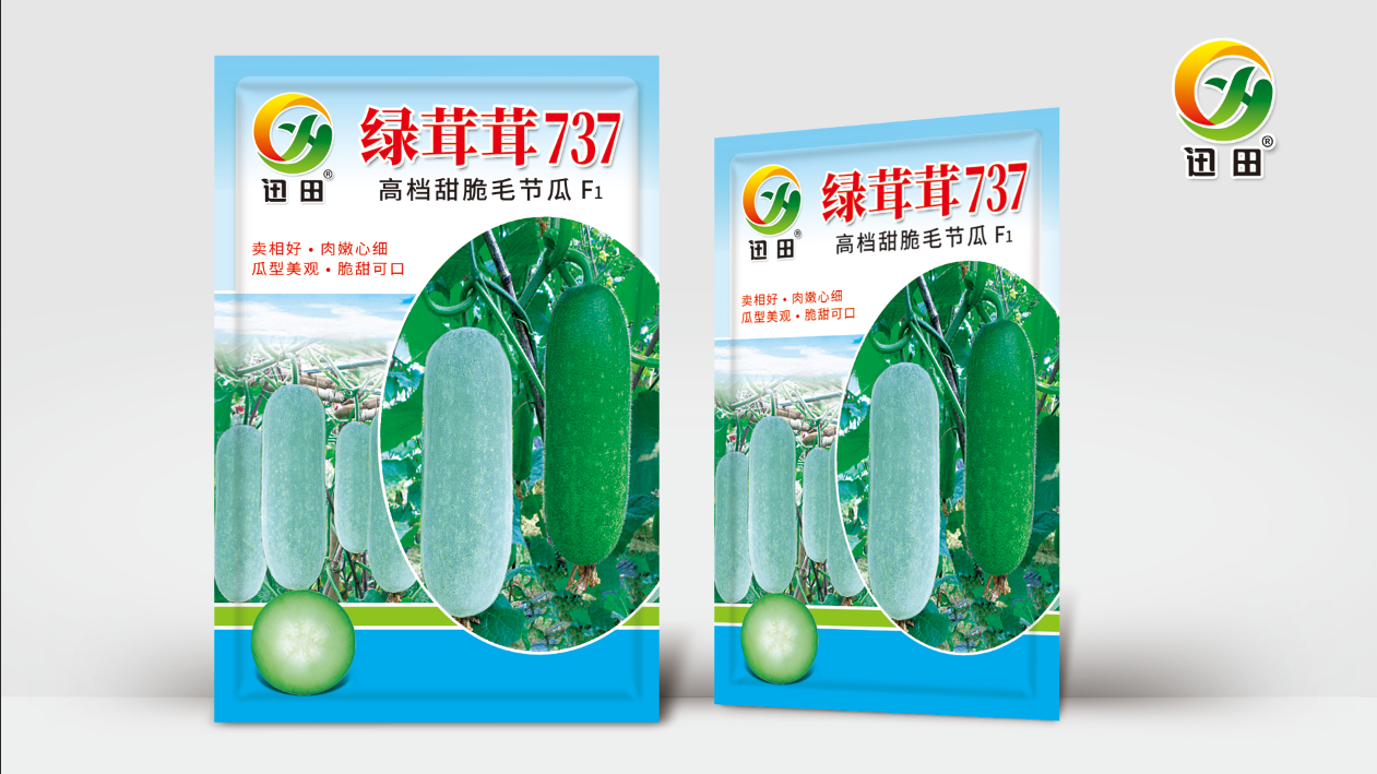 绿茸茸737高档甜脆毛节瓜早熟小冬瓜与黑皮大冬瓜冬瓜