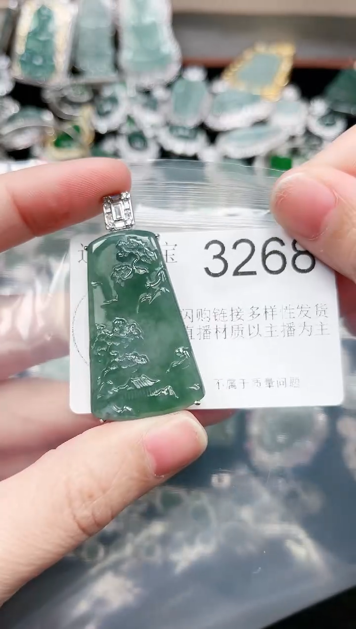 【闪购商品】翡翠颈饰未镶嵌赠皮绳3268