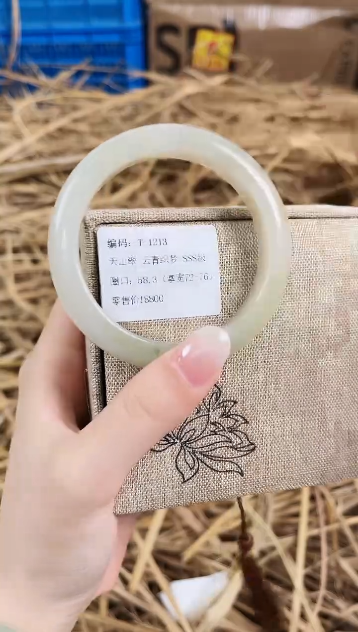 未镶嵌手镯石英质玉T1213