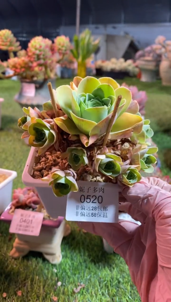 【闪购商品】0520a