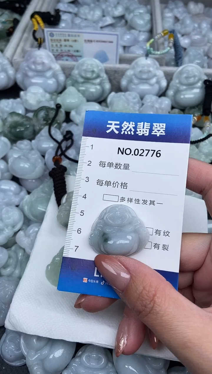 颈饰未镶嵌翡翠纯天然A货翡翠2776