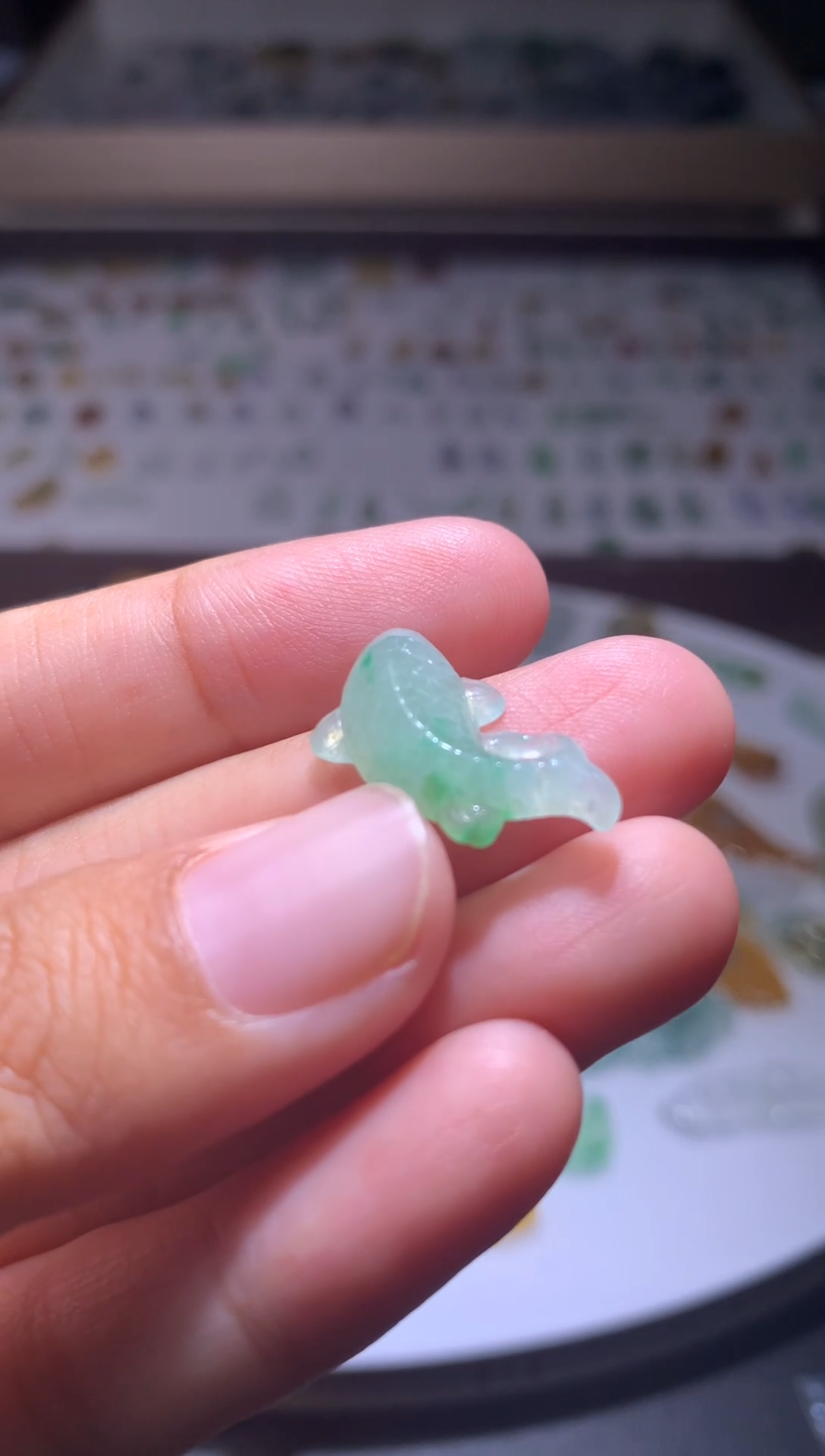 未镶嵌定制翡翠W****1毛货