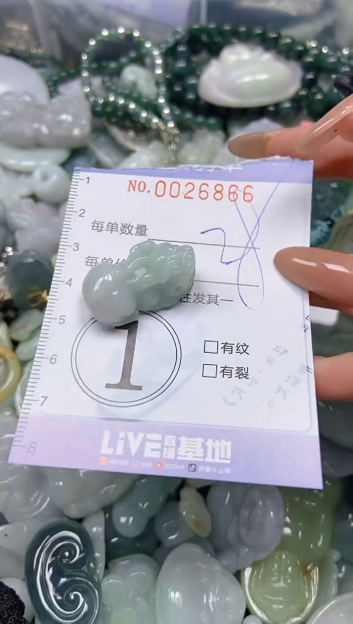 【闪购商品】翡翠颈饰未镶嵌闪购0026866