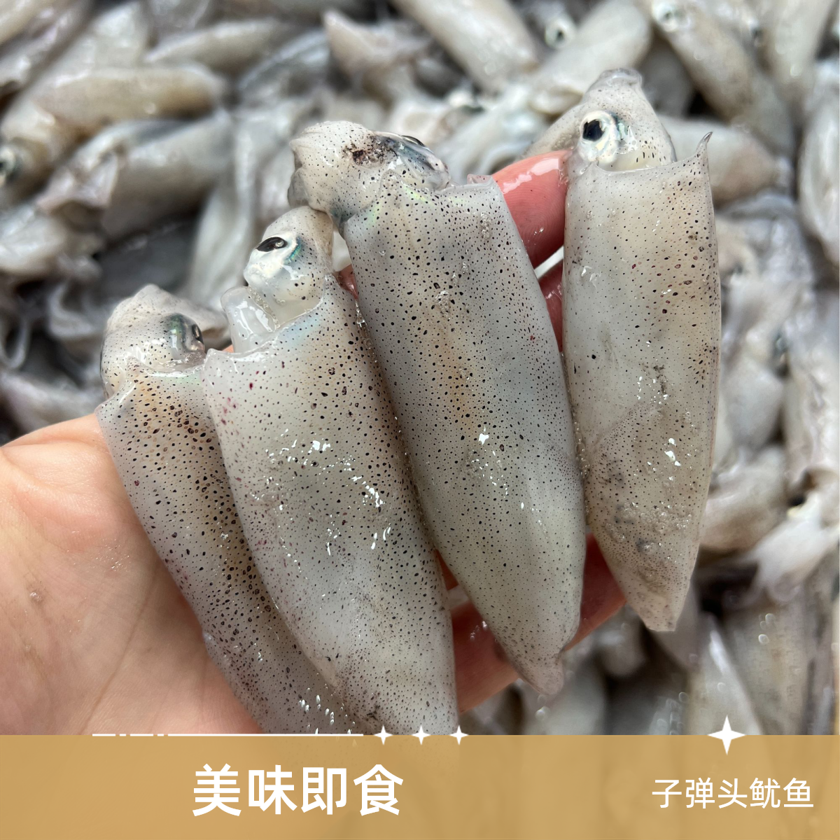 《同城闪送》中大子弹头鱿鱼1斤