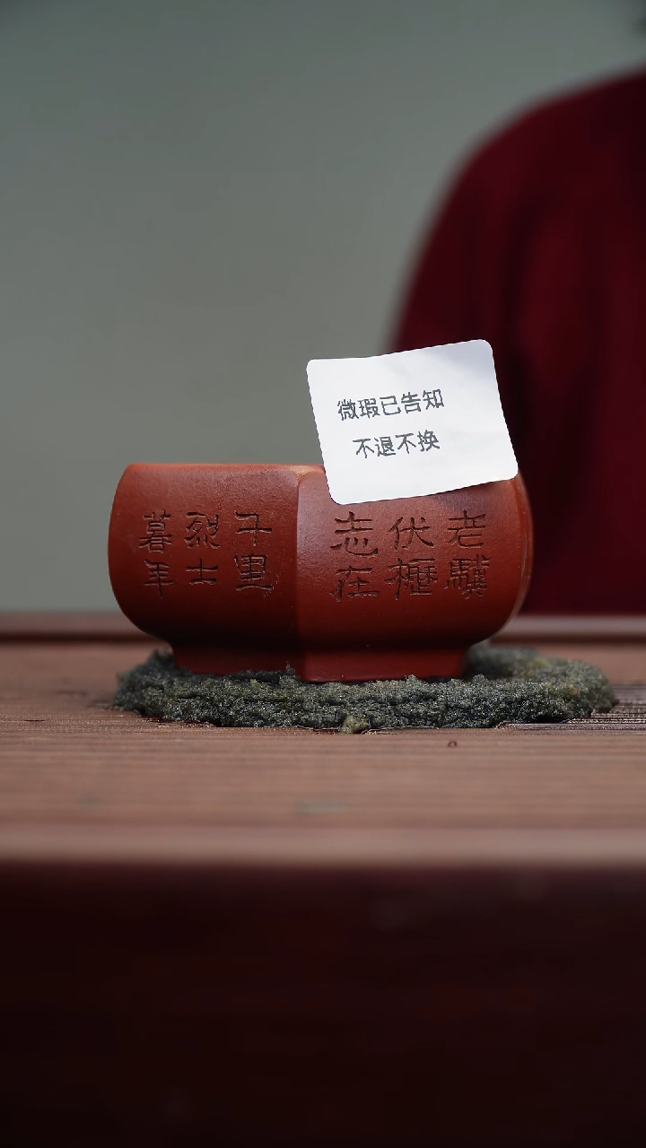 茶杯紫砂微瑕紫砂龟虽寿