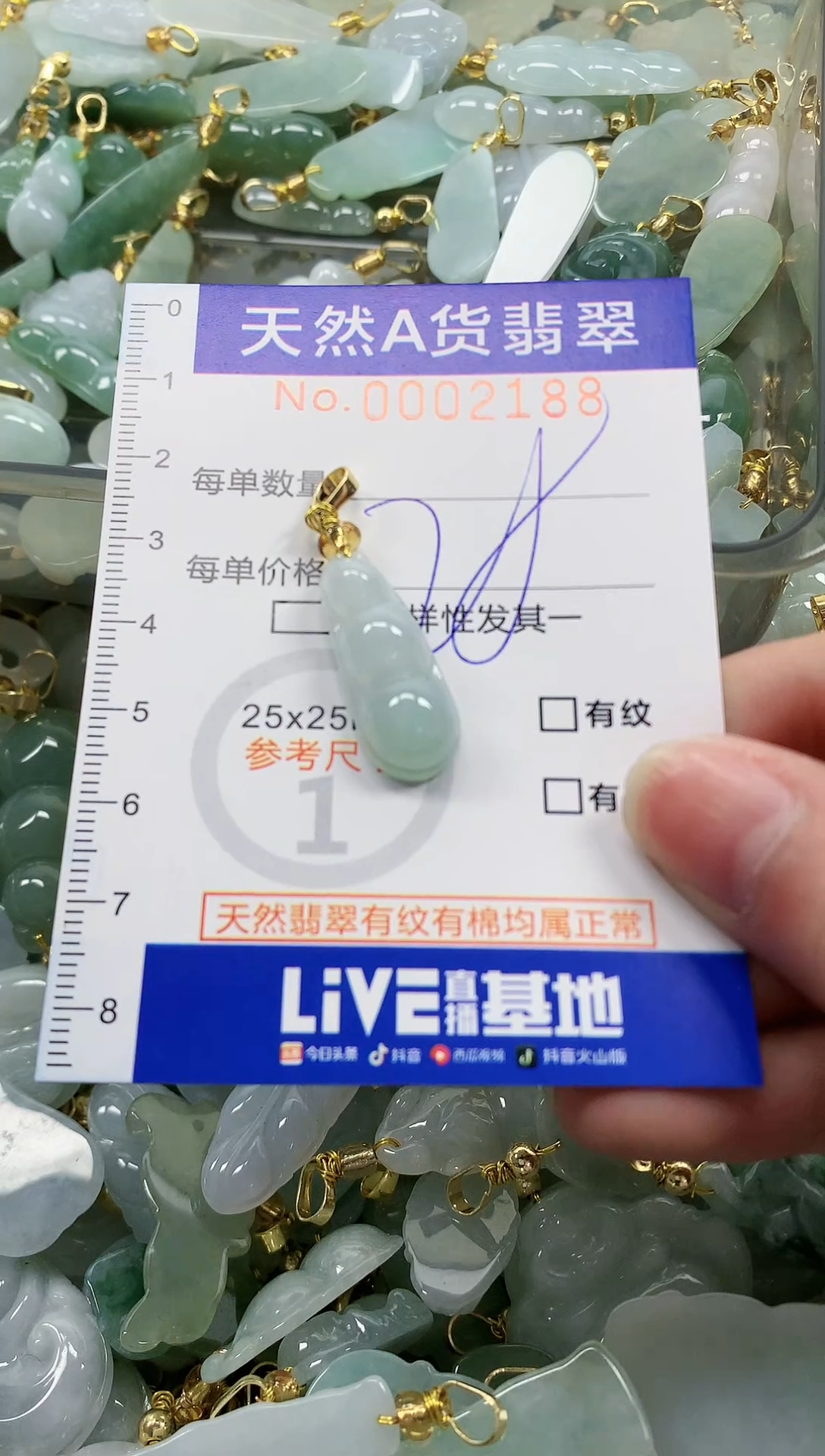 颈饰未镶嵌翡翠纯天然a货翡翠