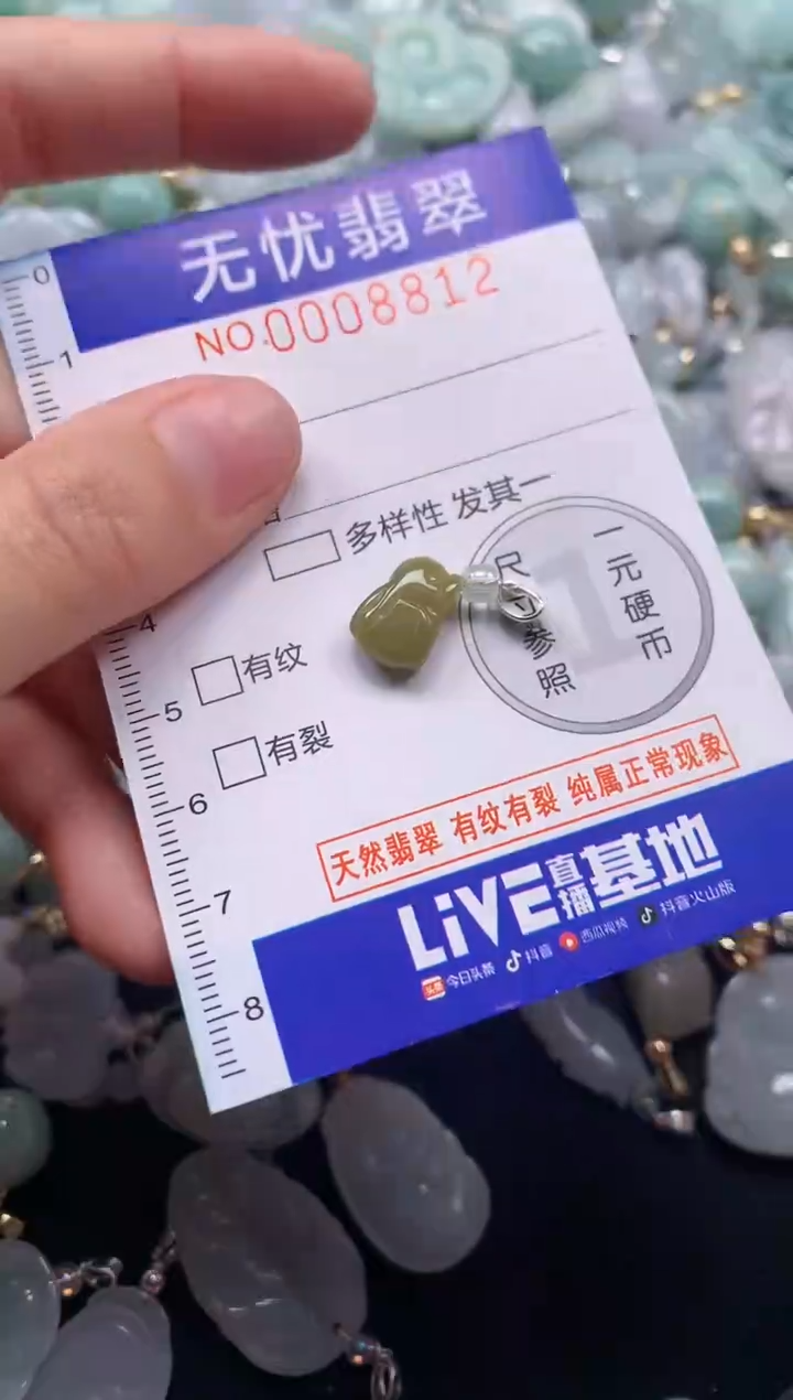 颈饰未镶嵌翡翠8812