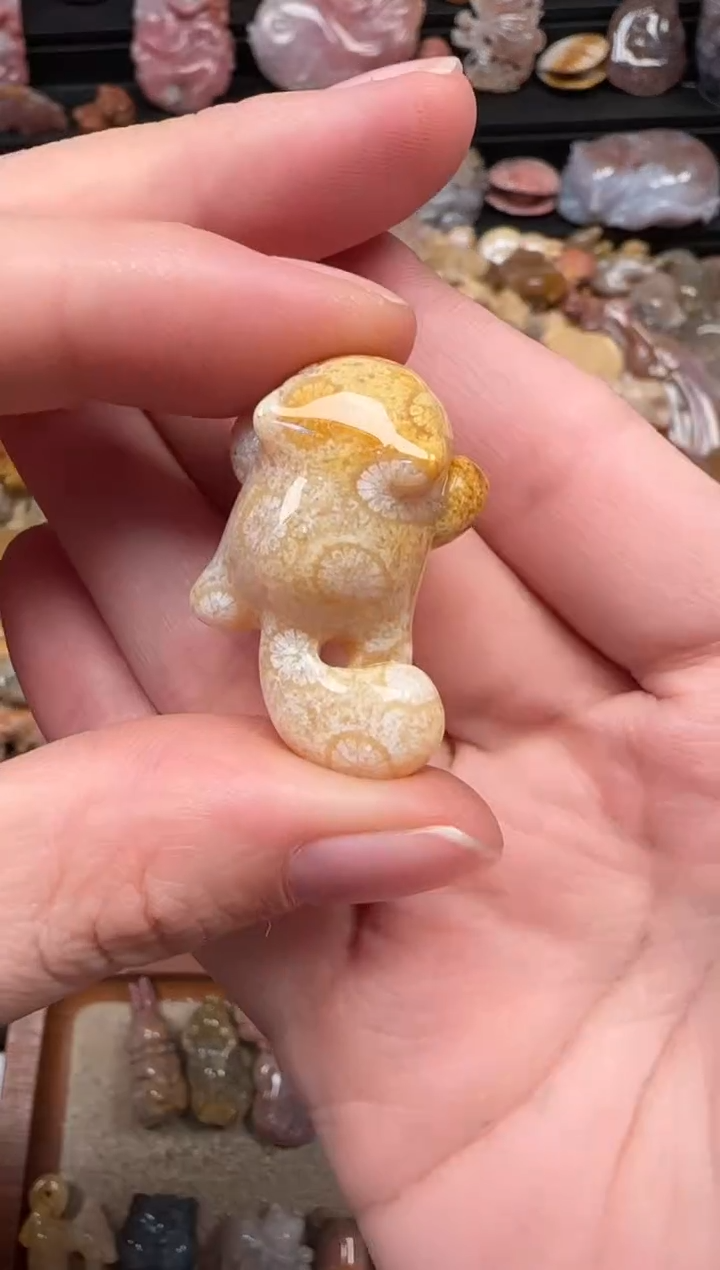 颈饰未镶嵌硅化珊瑚（珊瑚玉）617