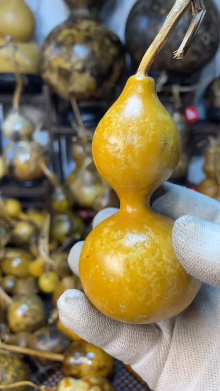 【闪购商品】葫芦葫芦葫芦葫芦