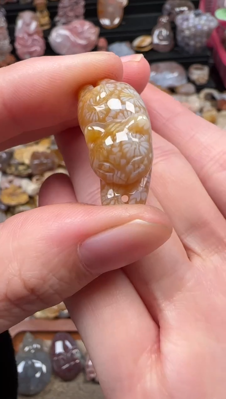 颈饰未镶嵌硅化珊瑚（珊瑚玉）400