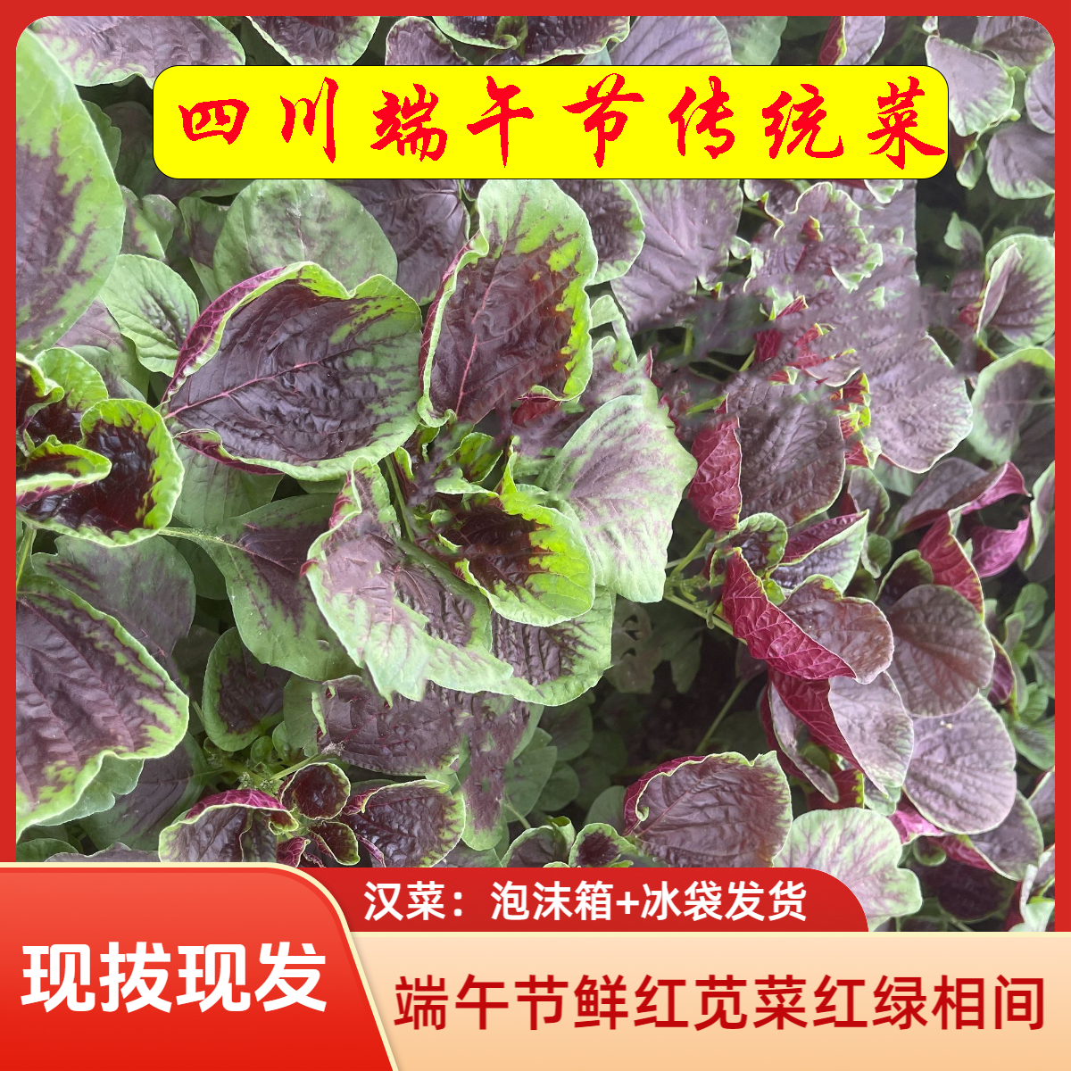 【泡沫箱+冰袋】四川端午节传统汉菜 红苋菜农家露天种植时令蔬菜