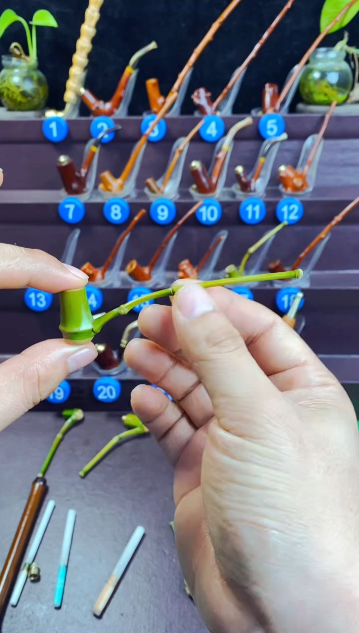 木现**在檬子木的精品小斗