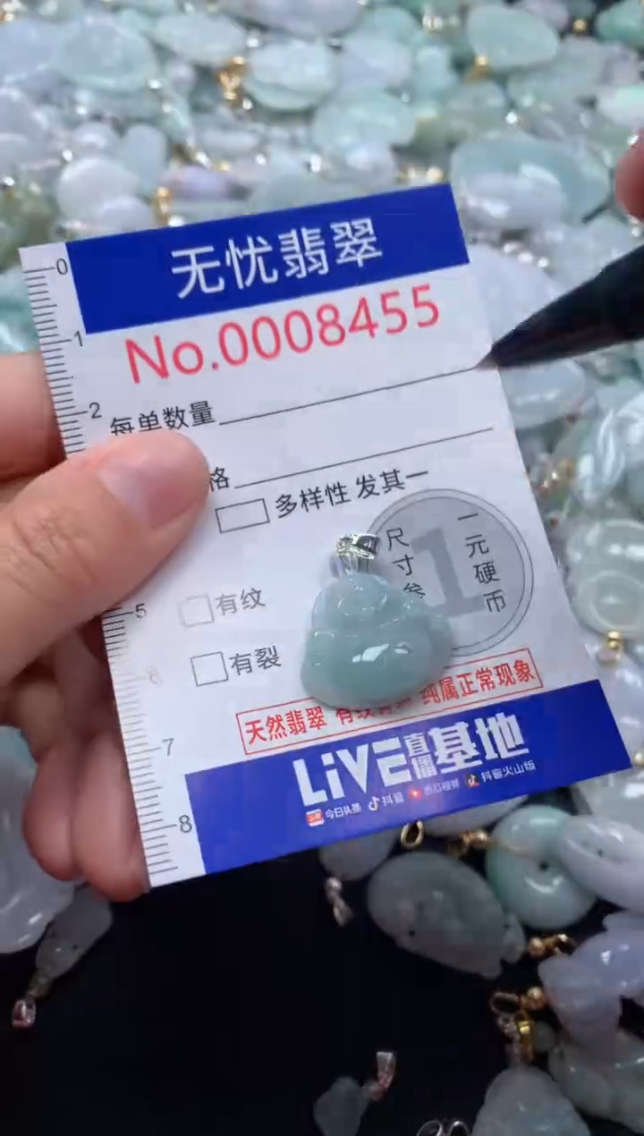 颈饰未镶嵌翡翠8455