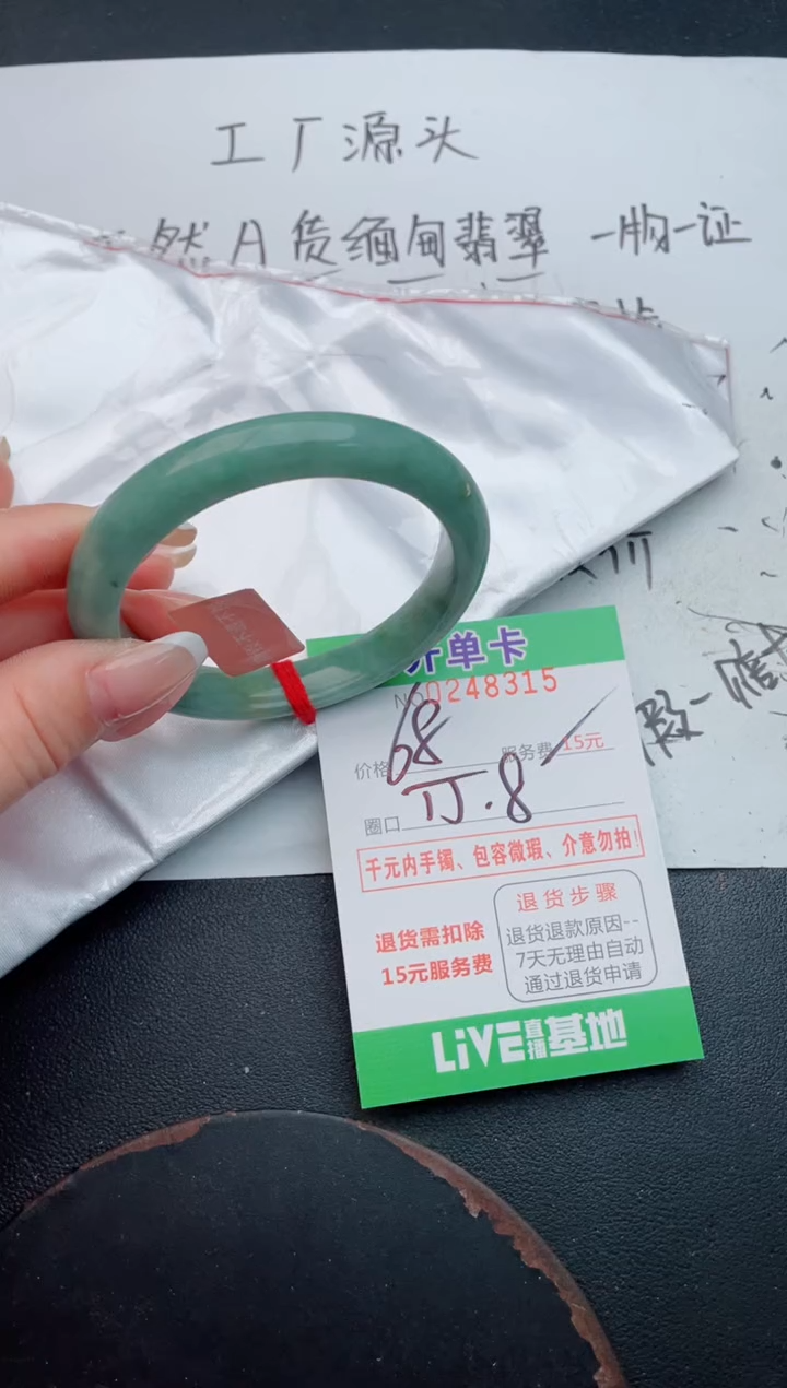 未镶嵌手镯翡翠15