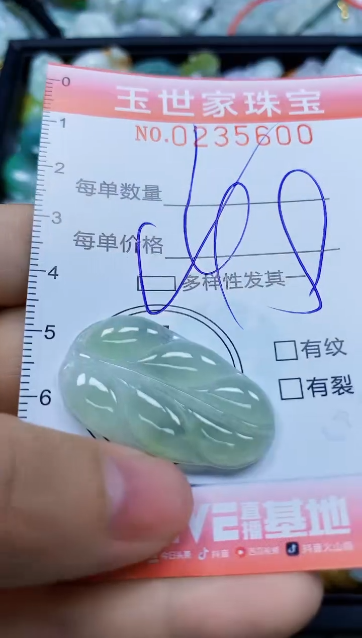 翡翠未镶嵌颈饰闪购0235600多样性发其一