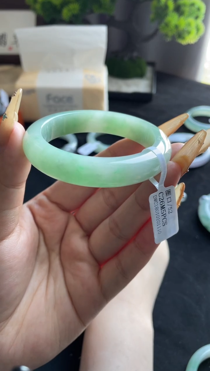 未镶嵌手镯翡翠三天鉴赏期