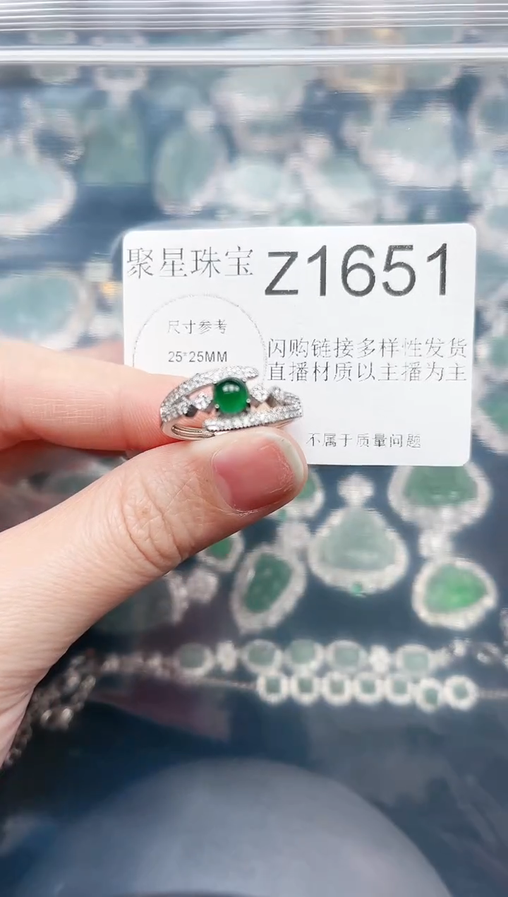 【闪购商品】翡翠颈饰未镶嵌赠皮绳1651