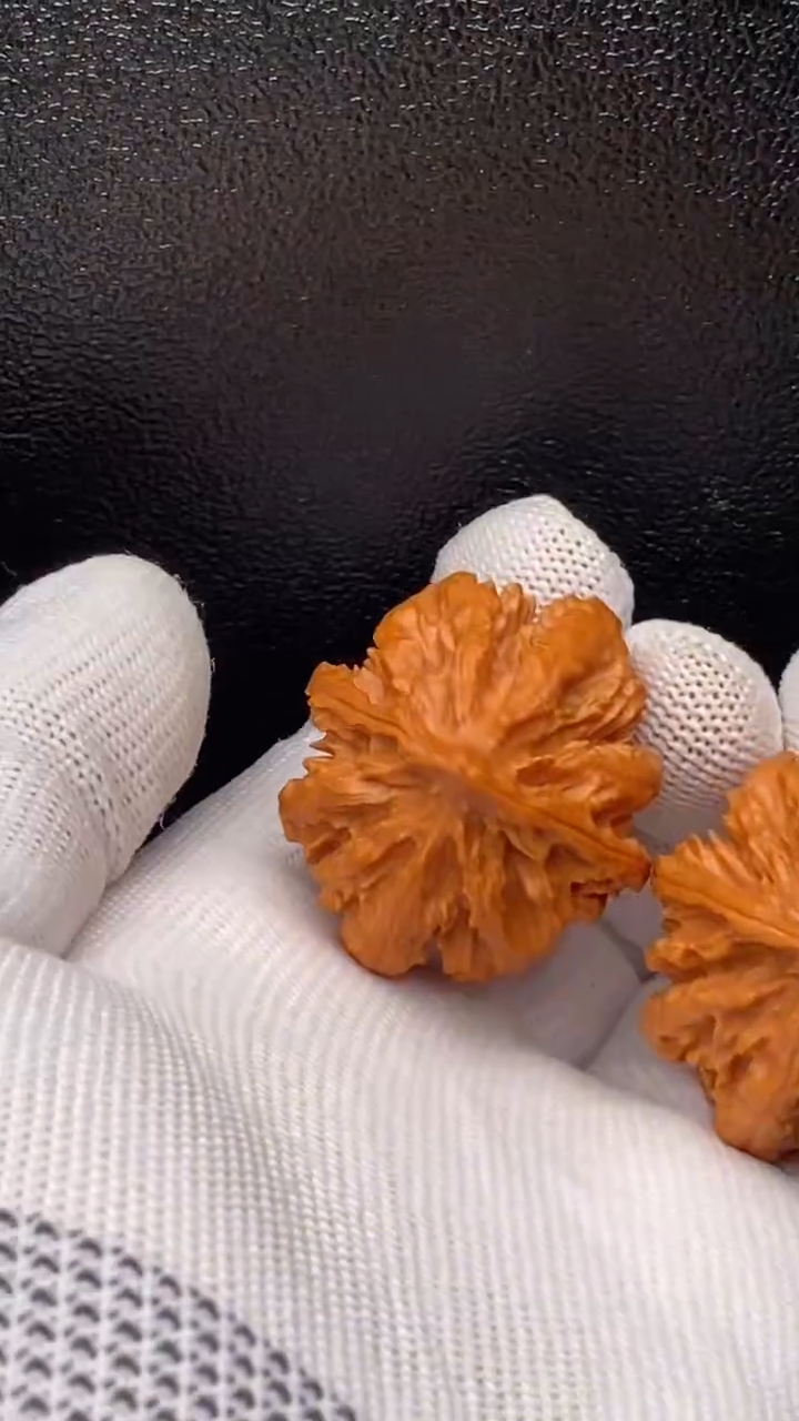 文玩核桃把件暴龙